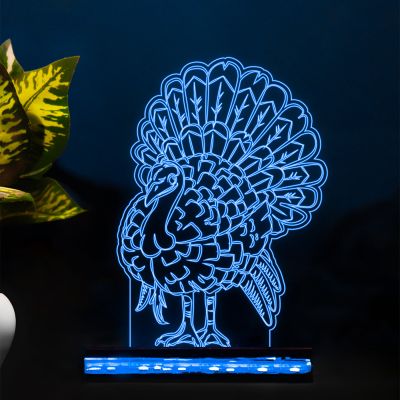 Turkey Design Lamp