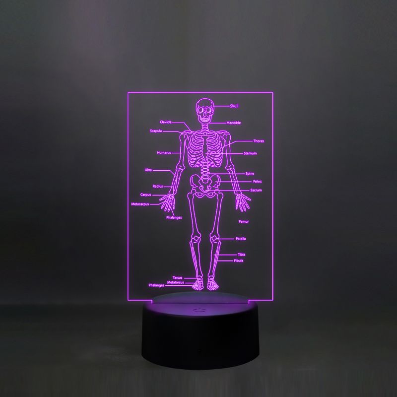 Human Body Skeleton Design Lamp