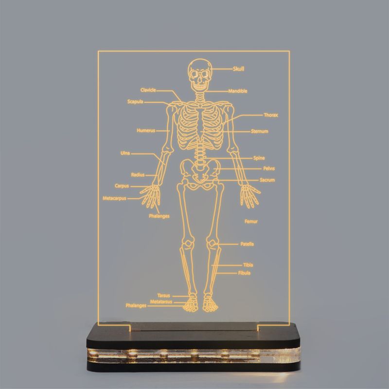 Human Body Skeleton Design Lamp