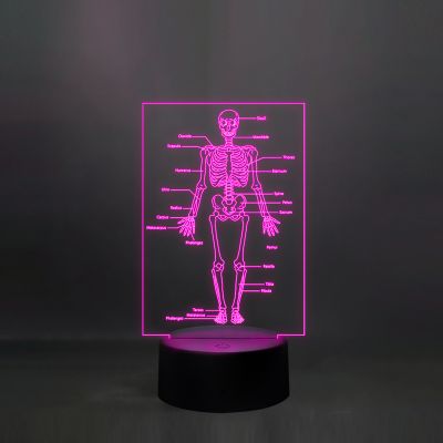 Human Body Skeleton Design Lamp