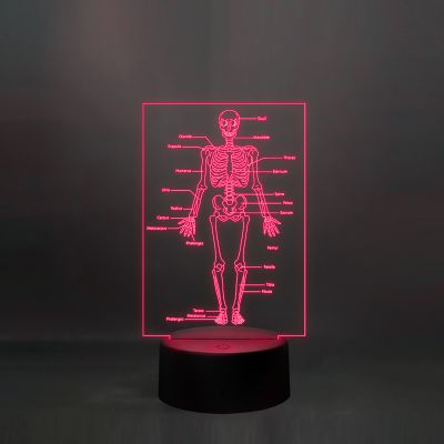 Human Body Skeleton Design Lamp