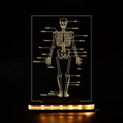 Human Body Skeleton Design Lamp