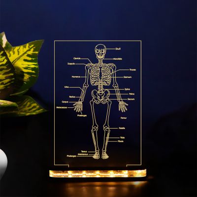 Human Body Skeleton Design Lamp