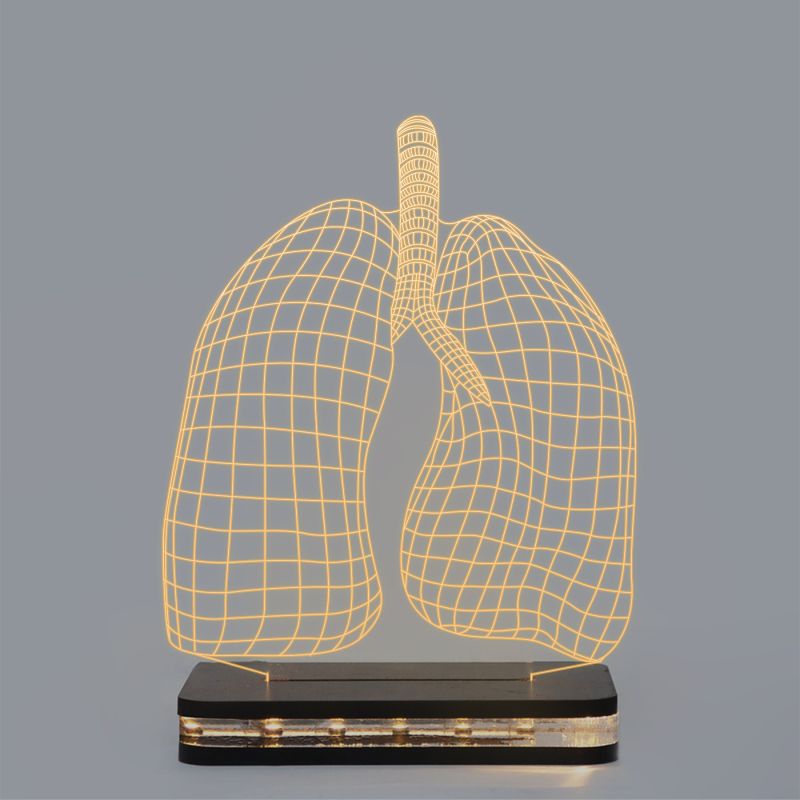 3D Lungs Design Night Lamp