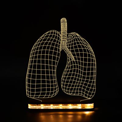 3D Lungs Design Night Lamp