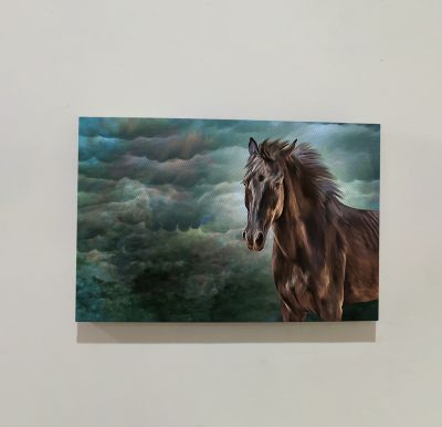 Horse Modern Art Canvas For The Decoration