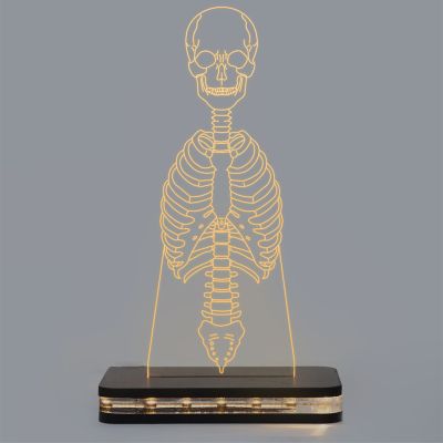 Human Skeleton Design Night Lamp