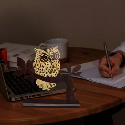 3D Illusion Owl Acrylic Led Night Lamp For Bedroom Home Decor Light (Warm White)