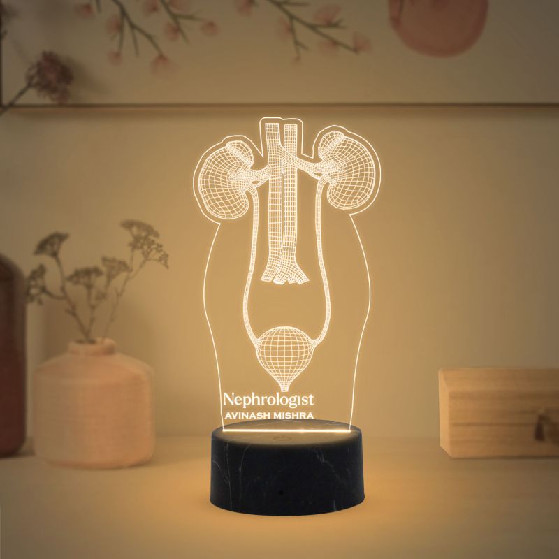 3D Illusion Kidney Acrylic Led Lamp Nephrologist Gift 3D Kidney Doctor Gifts