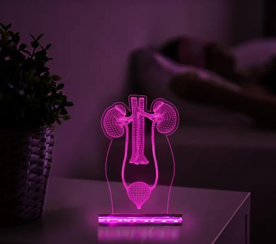 3D Illusion Kidney Led Lamp Nephrologist Kidney Light Multicolored Night Light with Remote Control