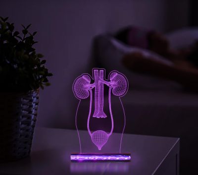 3D Illusion Kidney Led Lamp Nephrologist Kidney Light Multicolored Night Light with Remote Control