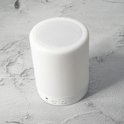 Led Touch Speaker with Portable Night Light Smart Colour Changing Touch Control