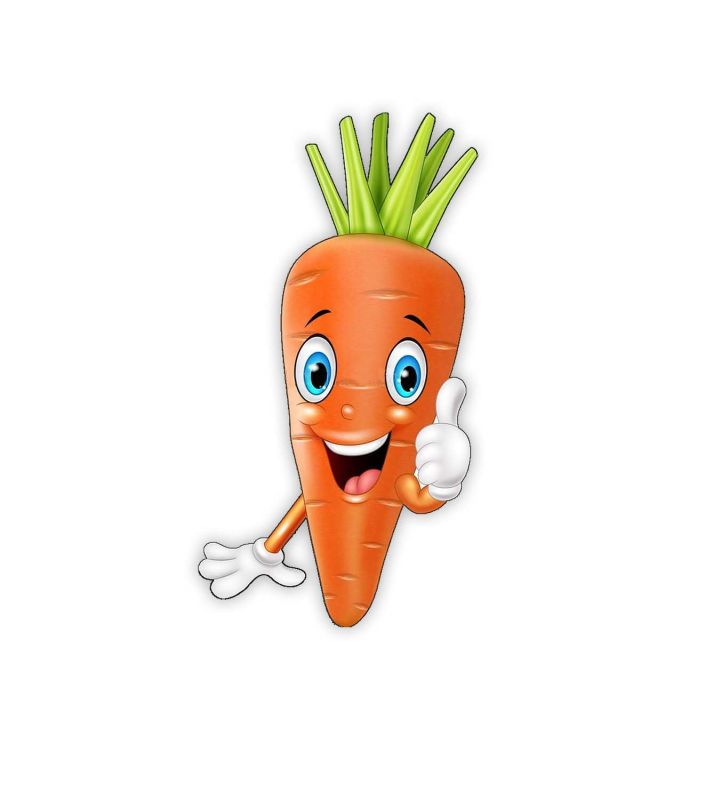 Vegetables Wooden Fridge Magnet Home and Kitchen Refrigerator Decoration Gift Items   School Whiteboard Magnet Stickers  Cute Fridge Magnet (Carrot)