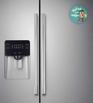 Fast Food Fridge Magnet for Home and Kitchen Decoration  Fridge Magnets for Refrigerator  Best Souvenir Gift (Kesi Lagi Panipuri)