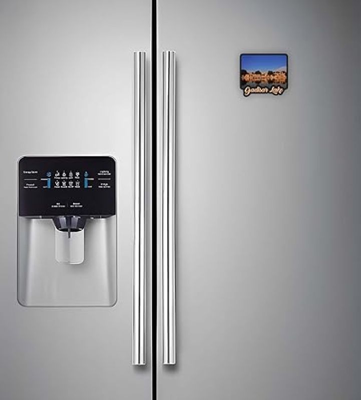 Rajasthan Theme Fridge Magnet  Indian Souvenir Gifts  Magnets for Kitchen & Home Décor  Refrigerator Magnet Sticker  Magnet for Fridge Decoration (Gadisar Lake)