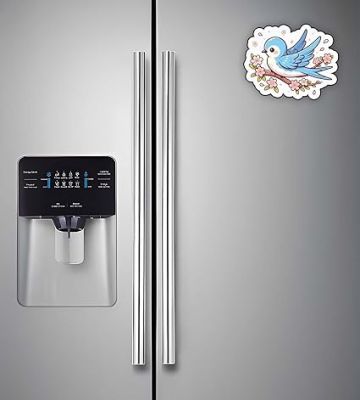 Bird Fridge Magnet for Refrigerator Stylish  Decorative Items for Kitchen & Home  Best Birthday Gifts for Kids  Cute Printed Bird Magnet Stickers (Cute Bird)
