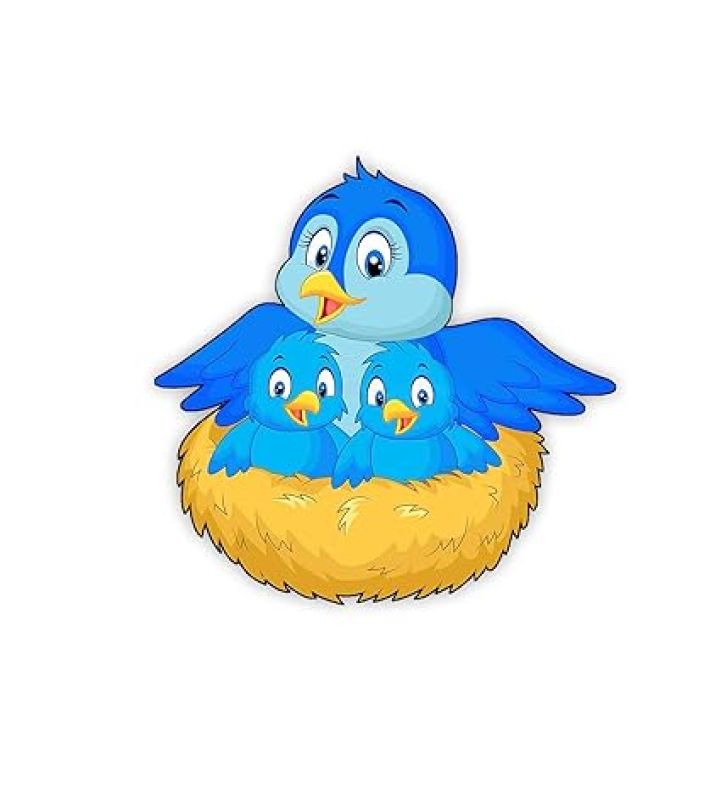 Bird Fridge Magnet for Refrigerator Stylish  Decorative Items for Kitchen & Home  Best Birthday Gifts for Kids  Cute Printed Bird Magnet Stickers (Mother Bird with Two Babies)