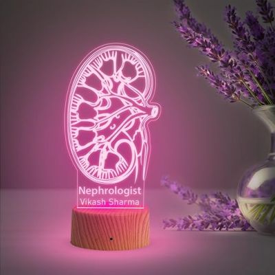 3D Illusion Nephrologist Lamp for Desk Table Light  7 Color Changing Light  Gift for Nephrologist  Thankyou Gift for Kidney Doctor