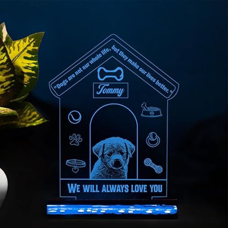 Personalized Dog Table Lamp Customized with Name & Photo  Pet Memorial Gift  Birthday Gift for Dog  Gift for Dog Lovers  Photo Night Lamp