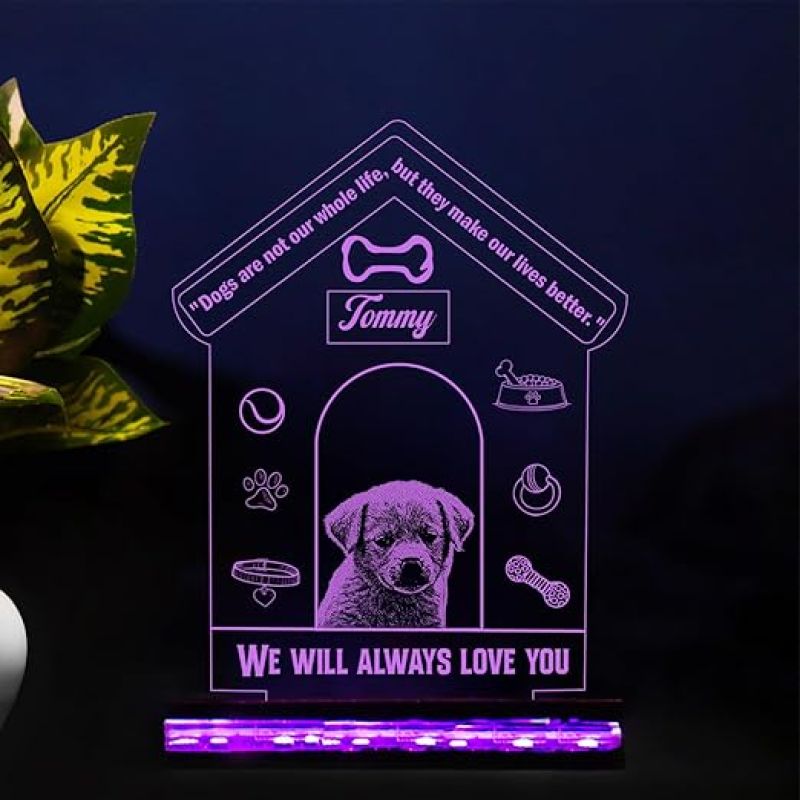 Personalized Dog Table Lamp Customized with Name & Photo  Pet Memorial Gift  Birthday Gift for Dog  Gift for Dog Lovers  Photo Night Lamp