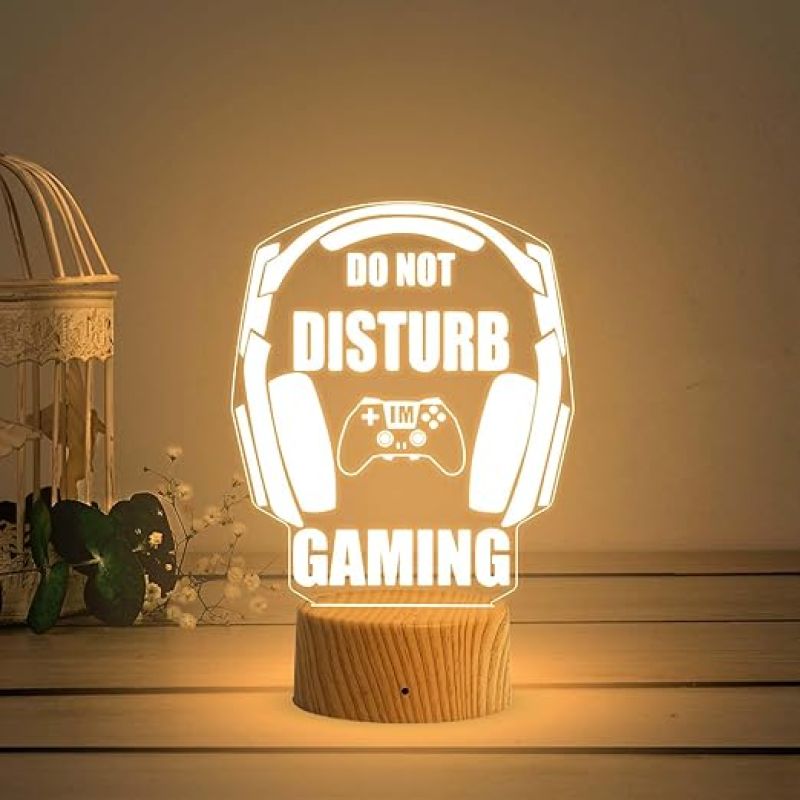 3D Illusion Do Not Disturb Gaming Night Lamp with Warm White Light  Gaming Room Decor Light  Gift for Gamer  Birthday Gift