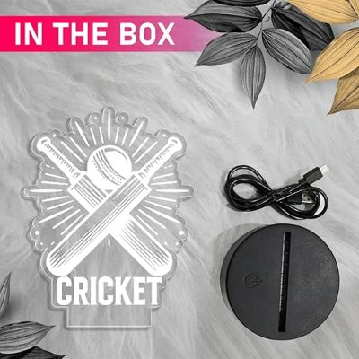 3D Illusion Cricket Bat with Ball  Gift for Cricket Lover  Warm White Light with Touch Control  Lamp for Sports Fans  Cricket Table Lamp