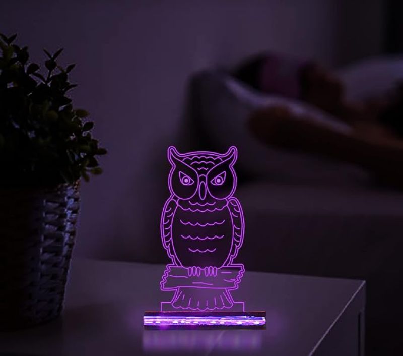 3D Illusion owl Night lamp with 16 Colors Changing Light  for Gift For Kids, Room Decor Light