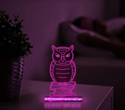 3D Illusion owl Night lamp with 16 Colors Changing Light  for Gift For Kids, Room Decor Light