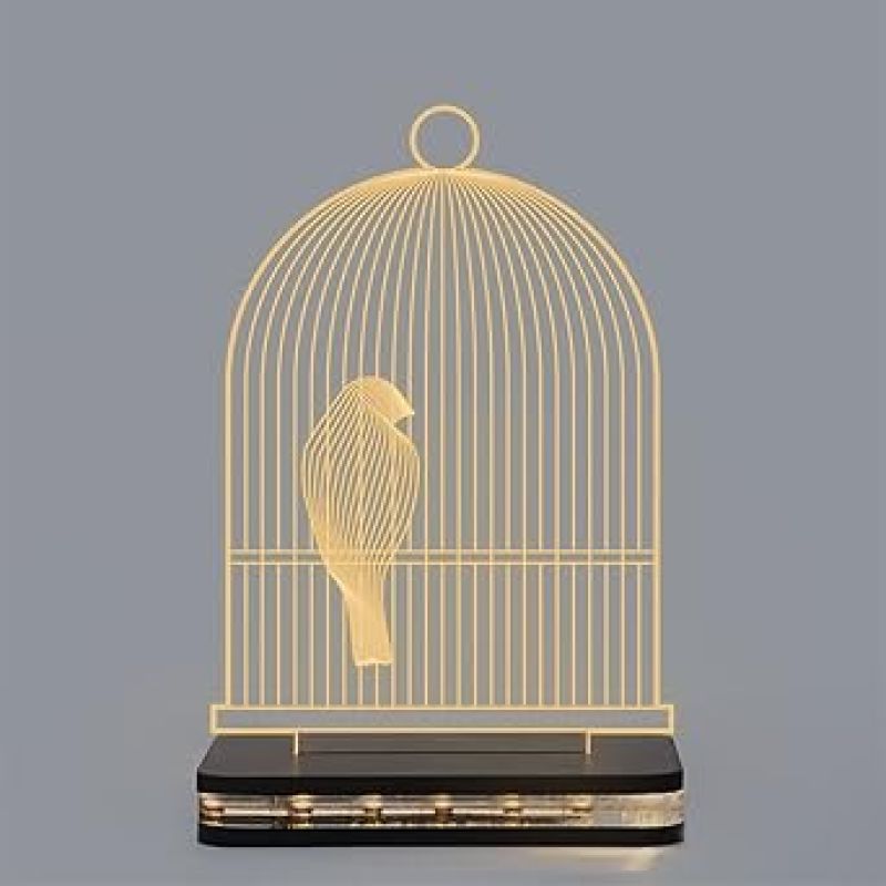 3D Illusion Bird cage Led Night lamp with Warm White Color Home Office Decor Light
