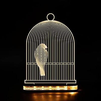3D Illusion Bird cage Led Night lamp with Warm White Color Home Office Decor Light