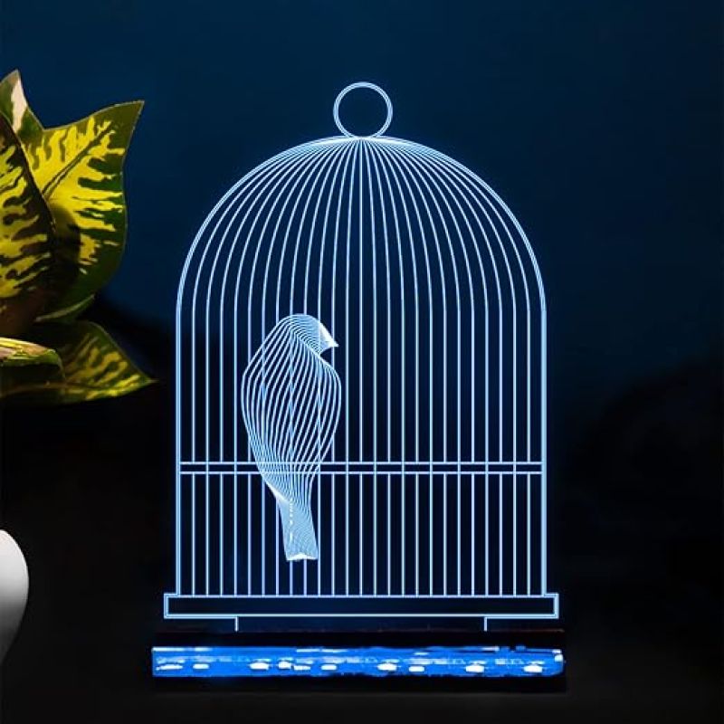 3D Illusion Bird cage Led Night lamp 16 Color Changing Light with Remote Control Home Office Decor Light
