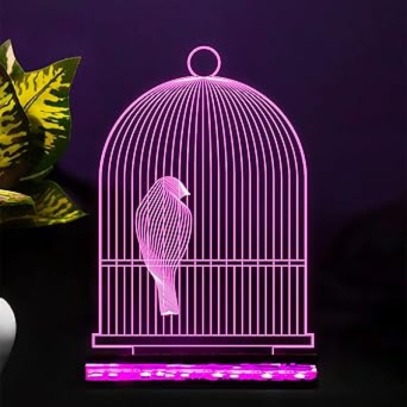 3D Illusion Bird cage Led Night lamp 16 Color Changing Light with Remote Control Home Office Decor Light