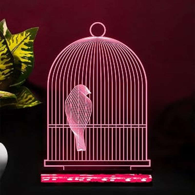 3D Illusion Bird cage Led Night lamp 16 Color Changing Light with Remote Control Home Office Decor Light