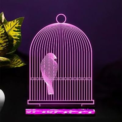 3D Illusion Bird cage Led Night lamp 16 Color Changing Light with Remote Control Home Office Decor Light