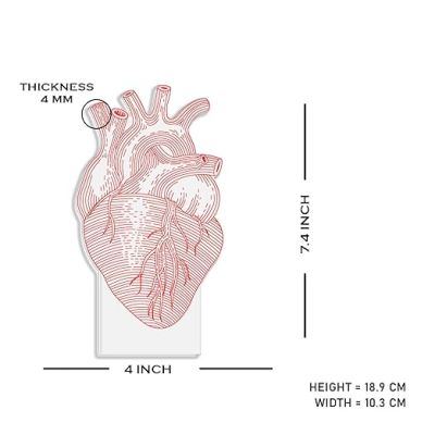 3D Illusion Cardiologist Night Light with Multicolored Light Gift for Heart Surgeon Doctor, Heart Specialist, Medical Student, & Clinic Decor Lamp