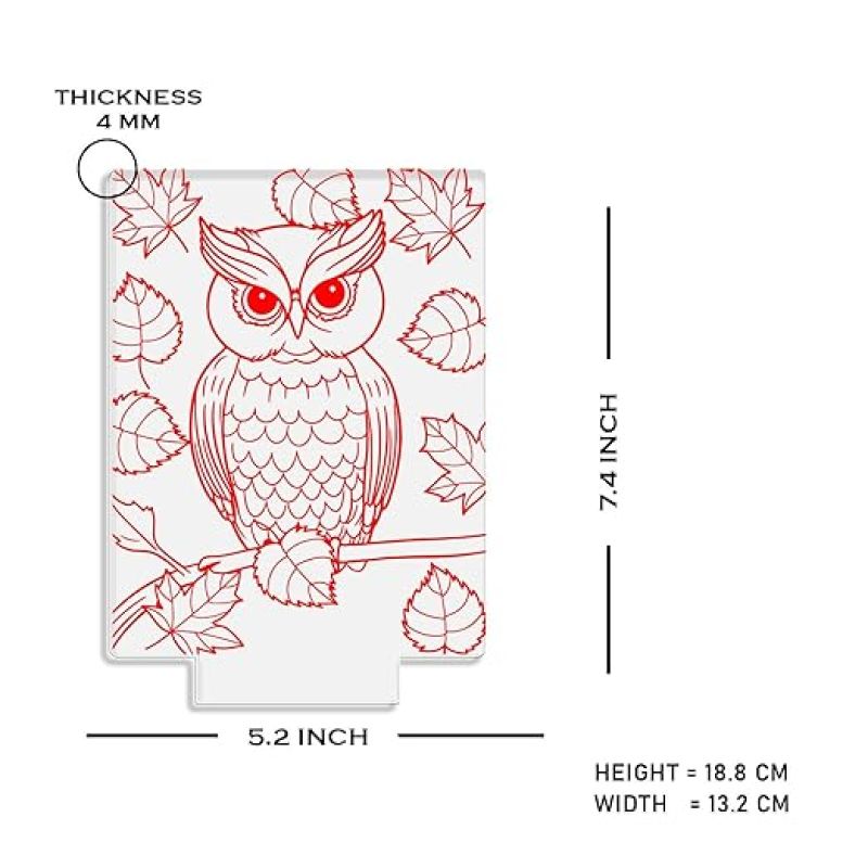 3D Illusion Owl Night Lamp with Warm White Light Return Gift Kids Birthday Home & Office Decor Light