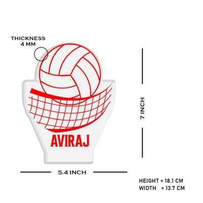 Volleyball with Net Night Lamp with Automatic Color Changing Light Customized Name Gift for Sports Player Home & Office Deco Light
