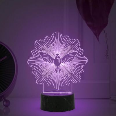 3D Illusion Eagle Bird night lamp with Multicolored Light Bedroom, Living Room, Office, Kids Room Decor
