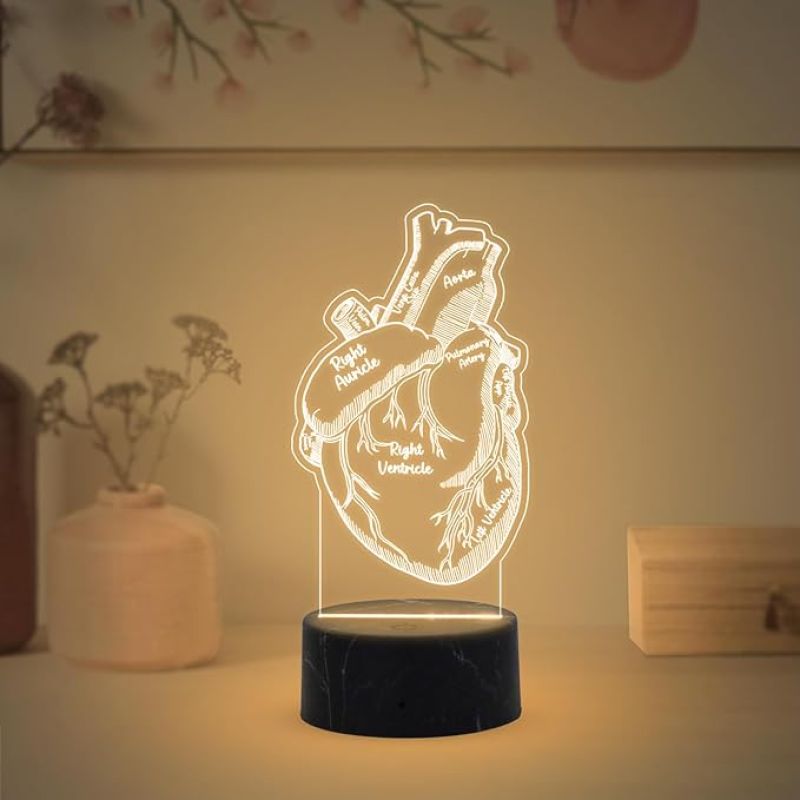 3D Illusion Heart night lamp with Warm White Light Gift for Heat Surgeon Doctor, Gift for Medical Student Doctor ,Cardiologist Clinic Decor