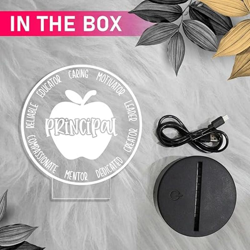 Principal Inspirational Night Lamp with Warm White Light Gifts for Women Men Home Office Desk Décor Teachers Day Gift for Principal School Principal Gift