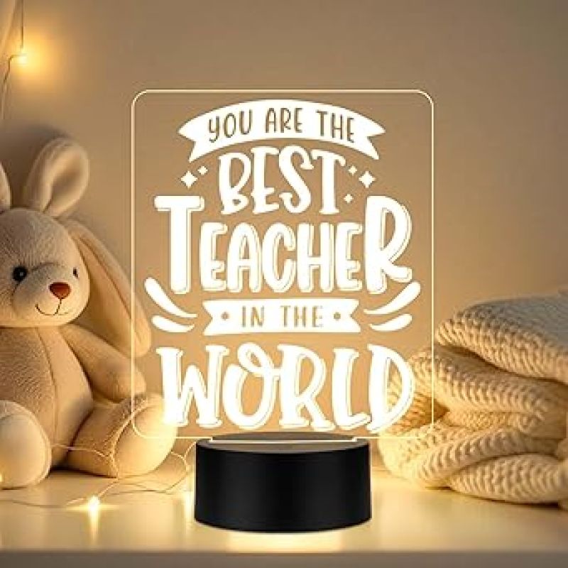 You are The Best Teacher in The World Engraved LED Desk Table Lamp  Teacher Day Gift for Your Favorite Teacher  Memorable Gift for Teacher  Warm White Light