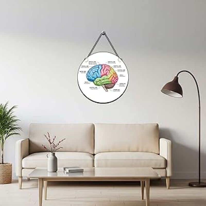 Brain Wall Hanging For Home, Office, Classroom & Counseling Room Psychologist Office Wall Art Gift For Neurologist Medical Student Room Decor Wall Art