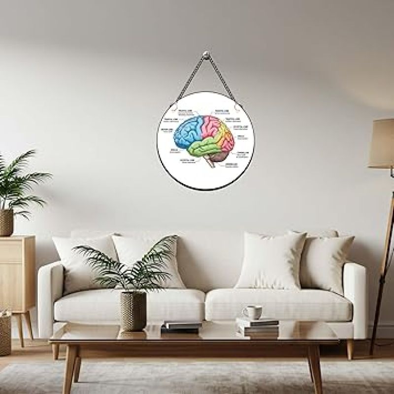 Brain Wall Hanging For Home, Office, Classroom & Counseling Room Psychologist Office Wall Art Gift For Neurologist Medical Student Room Decor Wall Art