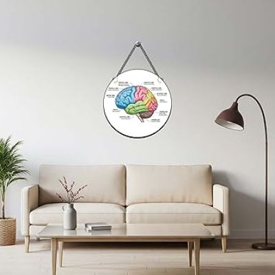 Brain Wall Hanging For Home, Office, Classroom & Counseling Room Psychologist Office Wall Art Gift For Neurologist Medical Student Room Decor Wall Art