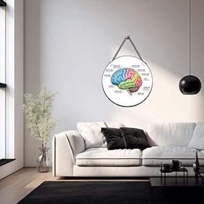 Brain Wall Hanging For Home, Office, Classroom & Counseling Room Psychologist Office Wall Art Gift For Neurologist Medical Student Room Decor Wall Art