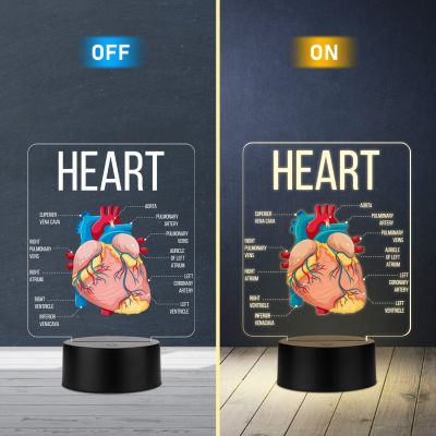 3D Illusion Anatomical Heart Diagram LED Lamp with Warm White Light Gift for Medical & Science Student Home, Clinic, Hospital & Study Desk Table Decor
