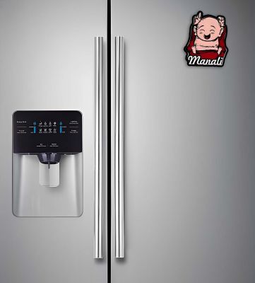 Manali Magnet Wooden Indian States Theme Fridge Magnet for Refrigerator Door, Kitchen  Gift for Travels  Decorative Souvenir Magnet for Fridge